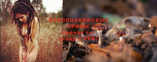 ECSTASY Елизово