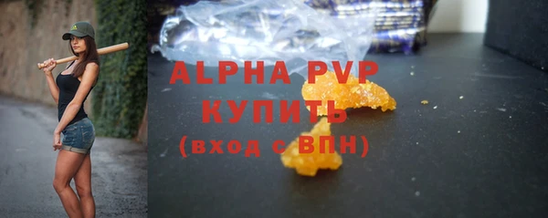 мет Ельня