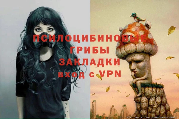 эйфоретик Заволжье