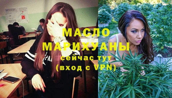 мет Ельня