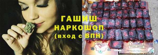 ECSTASY Елизово