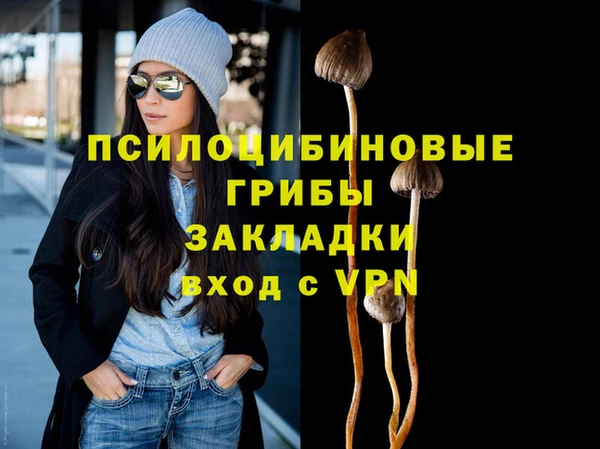 мет Ельня