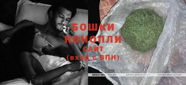 мет Ельня