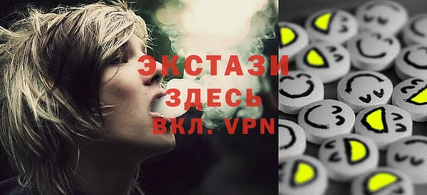 мет Ельня