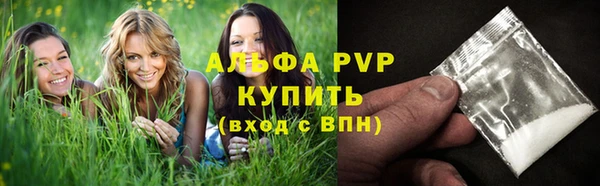 мет Ельня